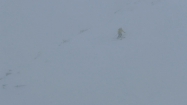 Nám sa o pár minút neskôr obloha dekuje, takže v totálnej difúzke lyžujeme opatrnejšie, žiadne frírajdové frajeriny (na fotke troll M, fotil Rišo)