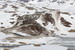 Z cesty pri hoteli Krossbu sledujeme zvláštny typ vodno-snehovo-základovej lavíny spôsobenej prudkým oteplením posledných dní (v neďalekom lyžiarskom stredisku Stryn tento typ lavíny nečakane zaplavil miestne parkovisko - viac info a foto: http://www.friflyt.no/Ski/StortSkredStrynSommerski )