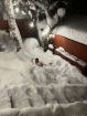 Večerné rochnenie v saune a snehu (fotil Lukáš)