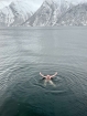 Po návrate z túry na chalupu je aj dnes na programe sauna a regeneračný fjord (fotil Masťo)
