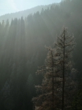 Hra svetla a tieňa v lesoch Sinej, Demänovská dolina