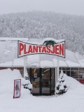 Snehom zavalená skleníková plantáž v Molde