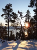 Lesy nad Molde sú v zimnom svetle naozaj magické